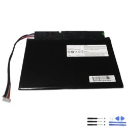 Medion 477592-00-00-11-2S1P-0 35.52Wh Battery